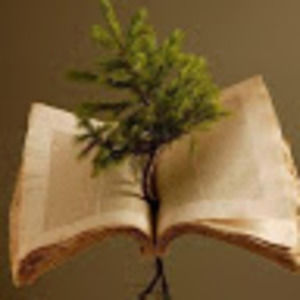 Meet your Posher, Drita